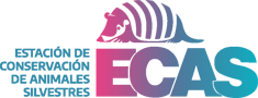 Logo ECAS